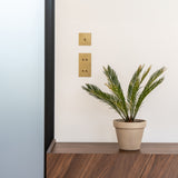 Schalter mit vier Kipphebeln in vertikalem Zweifachrahmen – Antikes Messing – ist an eine weiße Wand montiert, darunter ein dunkles Holzmöbel mit einer Pflanze. 
