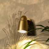Ealing Außenwandstrahler – Licht zeigt nach unten auf eine grüne Pflanze. 