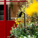 Ealing Wegestrahler – Bronze – ragt aus einem Blumenbeet mit roter Tür dahinter hervor. 